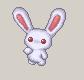 Snowbunny.JPG