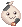 Mooringbackpack.png