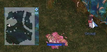 Orchid.png
