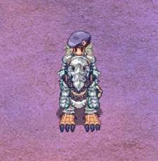 Image:BlueBeret2.JPG