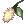 Cattail Grass
