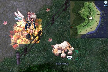 HH DA Elder.jpg