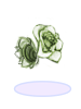 Flowers of Tanee