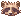 Raccoon Hat