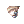 Felinuswig.png
