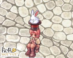 Rabbit in the Hat