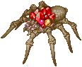 MuspeliteAranea.gif