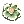 Flower of Tanee