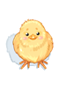 Chickhat2.png
