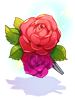 Fresh Rose