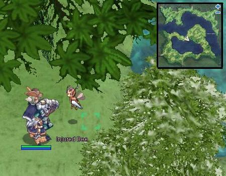 Image:BeeWings2.jpg