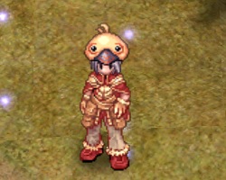[Image: Costume_Peco_Peco_Cap.jpg]