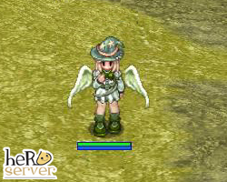 Aerial Wings