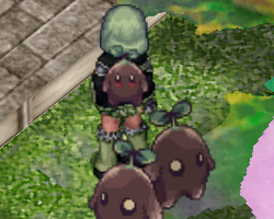Garden Keeper Backpack