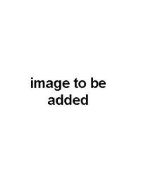 Placeholder Card.png
