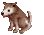 Baby Desert Wolf