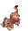 Baby Leopard