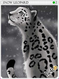 Snowleopard.png