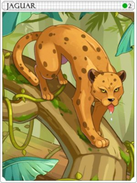 Jaguarcard.png