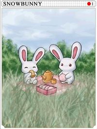 Snow Bunny Card.jpg
