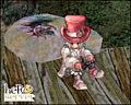 Thumbnail for version as of 04:22, 8 March 2012