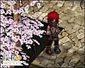 Thumbnail for version as of 06:04, 28 April 2010