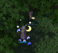 13FerreInstance.png
