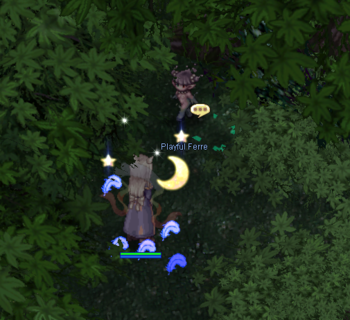 13FerreInstance.png